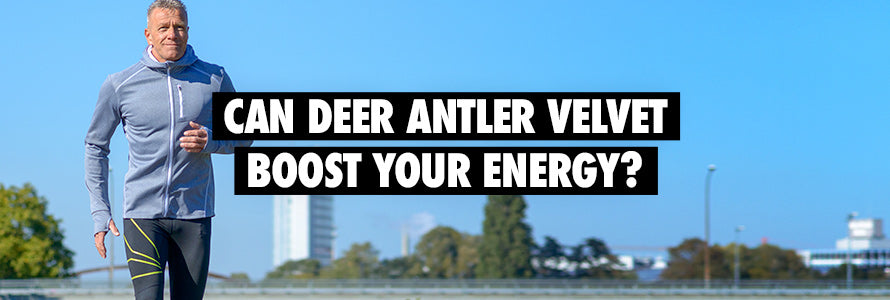 best natural supplements for fatigue: can deer antler velvet boost your energy? 