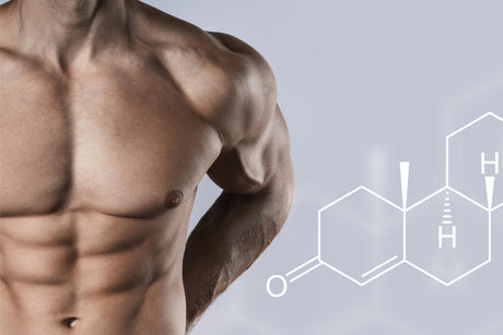 Safety of Testosterone Boosters