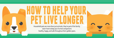 How To Help Your Pet Live Longer