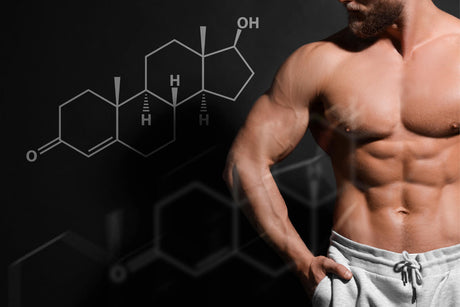 How Does A Testosterone Booster Work?