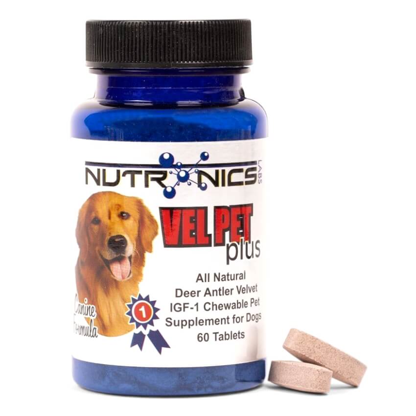 VelPet Plus For Dogs Natural Pet Health Supplement Nutronics Labs